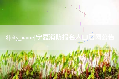 巴彦淖尔市宁夏消防报名入口官网公告