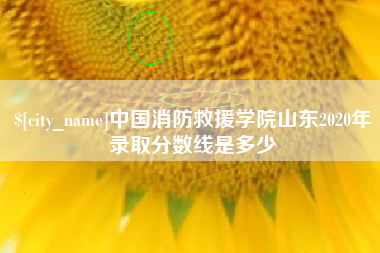 巴彦淖尔市中国消防救援学院山东2020年录取分数线是多少