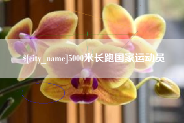 巴彦淖尔市5000米长跑国家运动员