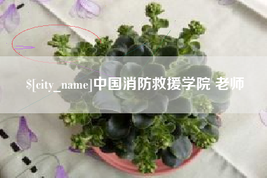 巴彦淖尔市中国消防救援学院 老师