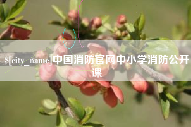 巴彦淖尔市中国消防官网中小学消防公开课