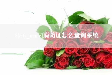 巴彦淖尔市消防证怎么查询系统