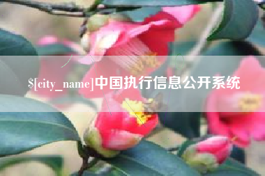 巴彦淖尔市中国执行信息公开系统