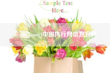 巴彦淖尔市中国执行网信息官网