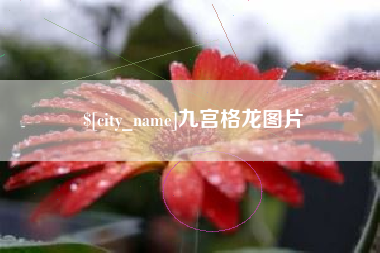 巴彦淖尔市九宫格龙图片