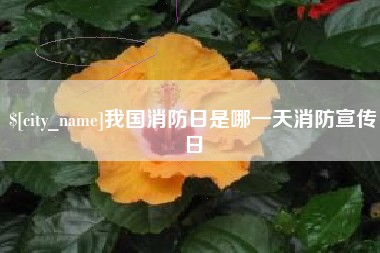 巴彦淖尔市我国消防日是哪一天消防宣传日