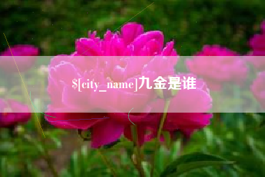 巴彦淖尔市九金是谁