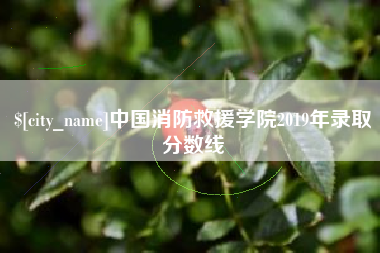 巴彦淖尔市中国消防救援学院2019年录取分数线