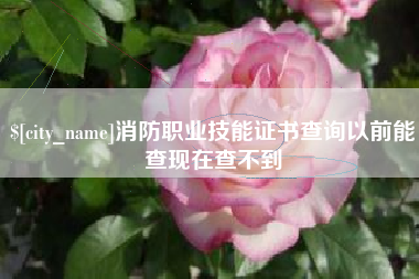 巴彦淖尔市消防职业技能证书查询以前能查现在查不到