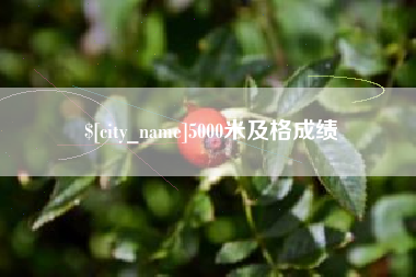 巴彦淖尔市5000米及格成绩
