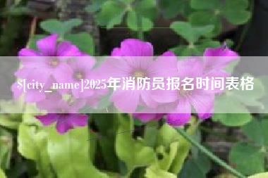 巴彦淖尔市2025年消防员报名时间表格