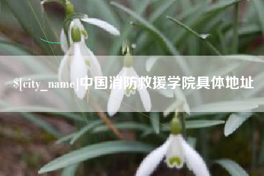 巴彦淖尔市中国消防救援学院具体地址