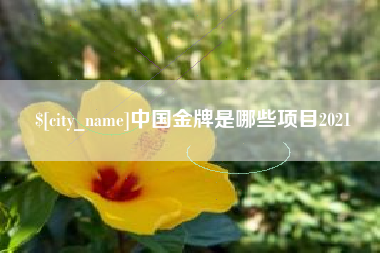 巴彦淖尔市中国金牌是哪些项目2021