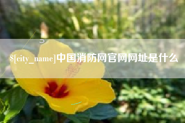巴彦淖尔市中国消防网官网网址是什么