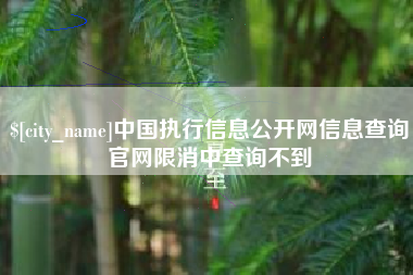 巴彦淖尔市中国执行信息公开网信息查询官网限消中查询不到