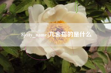 巴彦淖尔市九金指的是什么