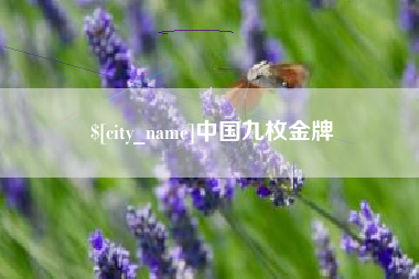 巴彦淖尔市中国九枚金牌
