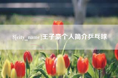 巴彦淖尔市王子豪个人简介乒乓球