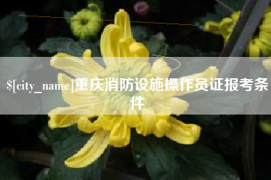 巴彦淖尔市重庆消防设施操作员证报考条件