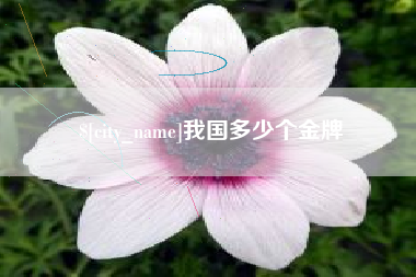巴彦淖尔市我国多少个金牌