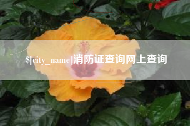 巴彦淖尔市消防证查询网上查询