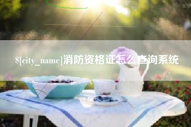巴彦淖尔市消防资格证怎么查询系统