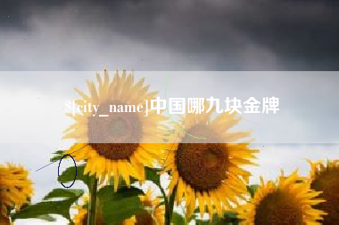 巴彦淖尔市中国哪九块金牌