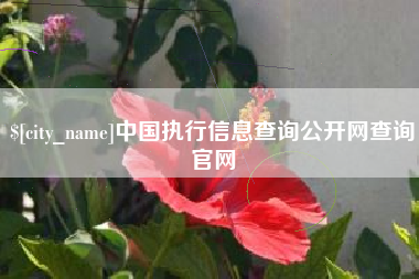 巴彦淖尔市中国执行信息查询公开网查询官网