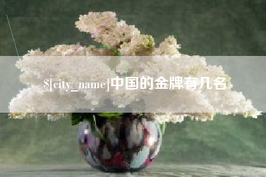 巴彦淖尔市中国的金牌有几名