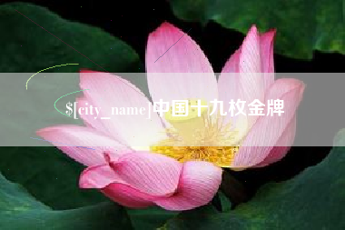 巴彦淖尔市中国十九枚金牌