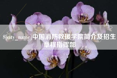 巴彦淖尔市中国消防救援学院简介及招生章程指挥部