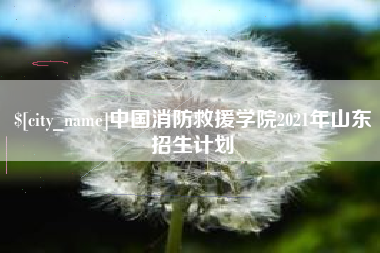 巴彦淖尔市中国消防救援学院2021年山东招生计划