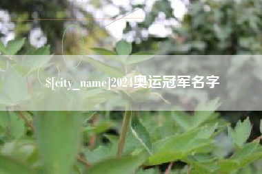 巴彦淖尔市2024奥运冠军名字