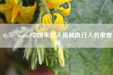 巴彦淖尔市中国失信人员被执行人名单查询
