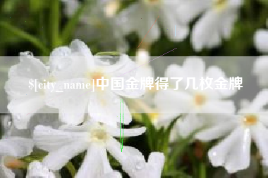 巴彦淖尔市中国金牌得了几枚金牌