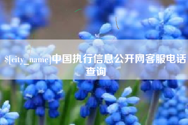 巴彦淖尔市中国执行信息公开网客服电话查询