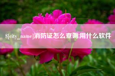 巴彦淖尔市消防证怎么查询,用什么软件