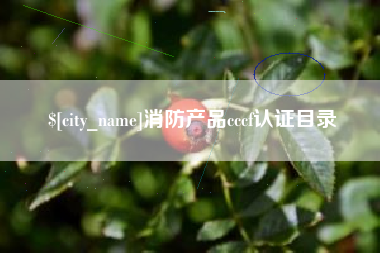巴彦淖尔市消防产品cccf认证目录