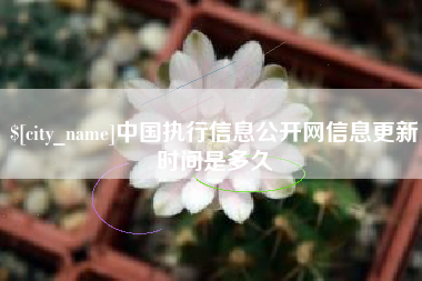 巴彦淖尔市中国执行信息公开网信息更新时间是多久