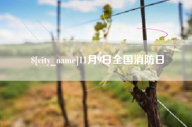 巴彦淖尔市11月9日全国消防日
