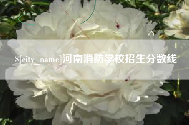 巴彦淖尔市河南消防学校招生分数线