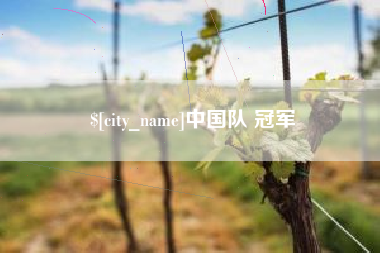 巴彦淖尔市中国队 冠军