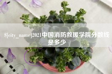 巴彦淖尔市2021中国消防救援学院分数线是多少