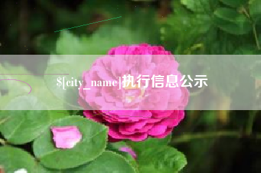 巴彦淖尔市执行信息公示