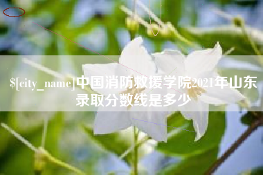 巴彦淖尔市中国消防救援学院2021年山东录取分数线是多少