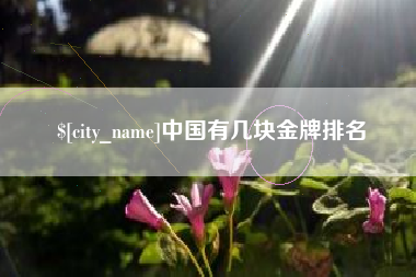 巴彦淖尔市中国有几块金牌排名