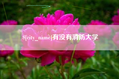 巴彦淖尔市有没有消防大学