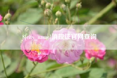 巴彦淖尔市消控证官网查询