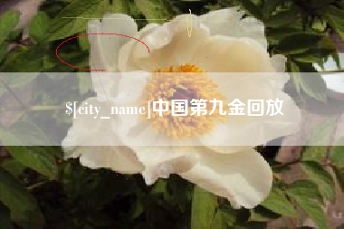 巴彦淖尔市中国第九金回放