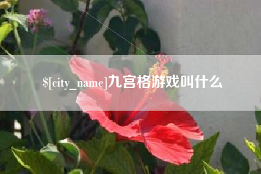 巴彦淖尔市九宫格游戏叫什么